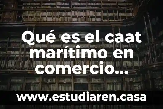 Qué es el caat marítimo en comercio exterior