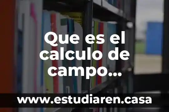 Que es el calculo de campo electrico