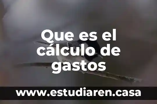 Gastos de mano de obra directa que es 5 Que es el cálculo de gastos