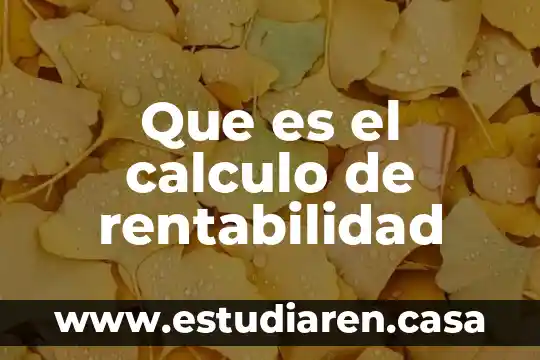 Que es el calculo de rentabilidad