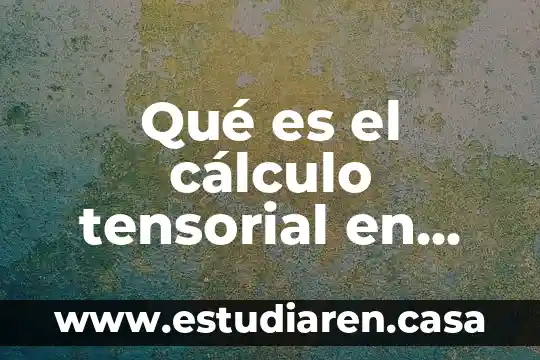 Que es calculo de regimenes normles 8 Qué es el cálculo tensorial en física