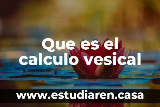 Qué es el cálculo tensorial en física 7 Que es el calculo vesical