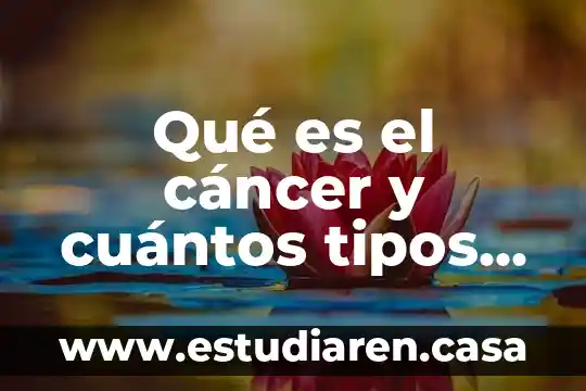 Qué es el cáncer y cuántos tipos hay