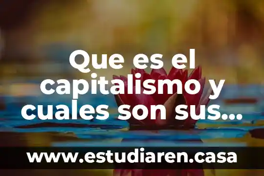 Que es el capitalismo y cuales son sus bases