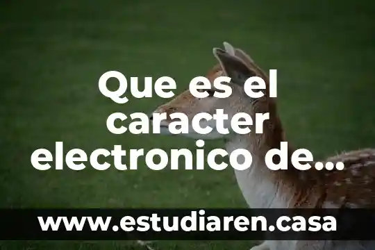 Que es pop correo electronico 5 Que es el caracter electronico de los metales