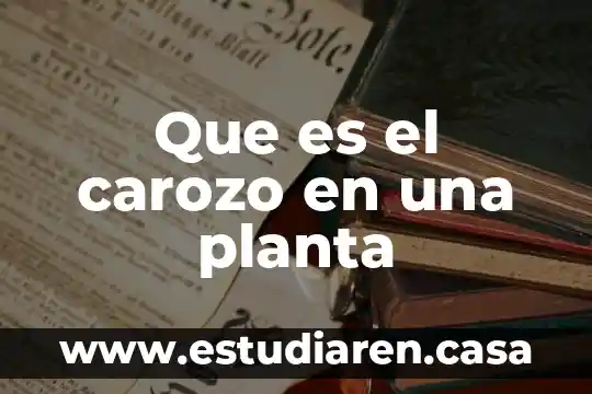 Que es el carozo en una planta