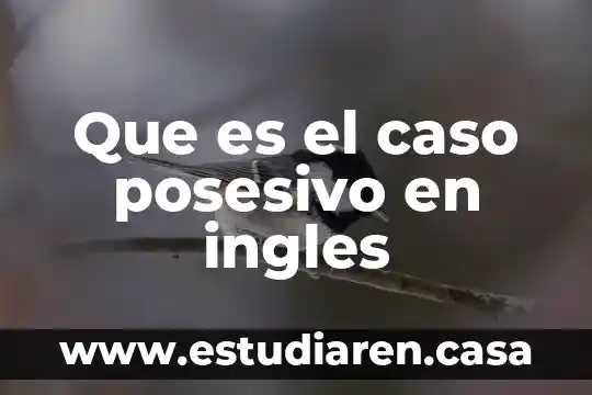 Que es verbo auxiliar do en ingles 5 Que es el caso posesivo en ingles