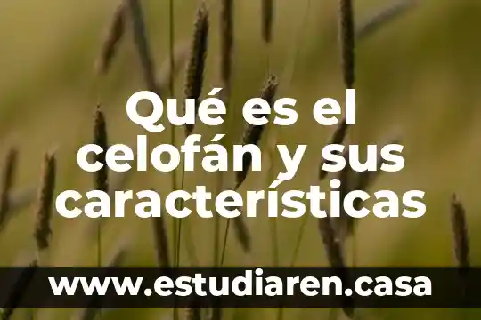 Que es salami comida 3 Qué es el celofán y sus características