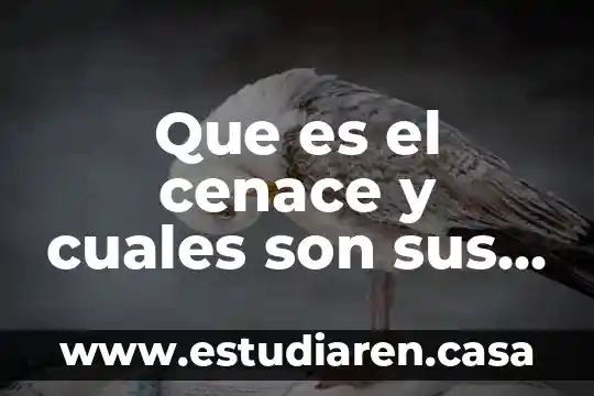 Que es el cenace y cuales son sus funciones