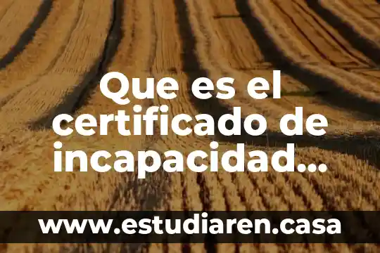 Que es el certificado de incapacidad para el trabajo imsd