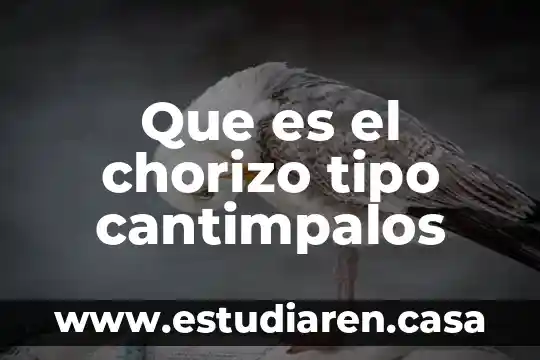 Que es una suspension tipo mcpherson 4 Que es el chorizo tipo cantimpalos
