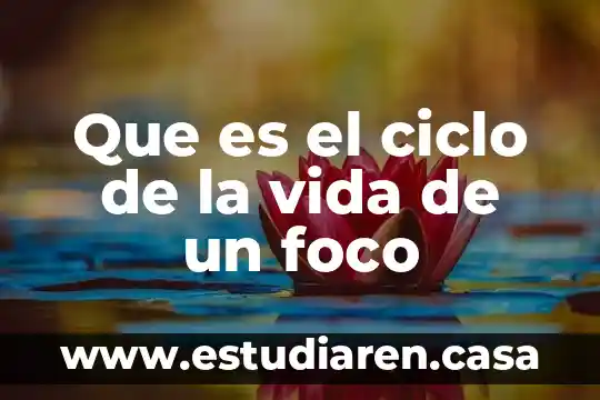 Qué es el cristal o foco y efectos 4 Que es el ciclo de la vida de un foco