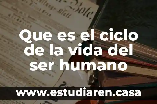 Que es el ciclo de la vida del ser humano