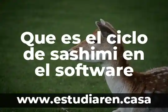 Que es el ciclo de sashimi en el software