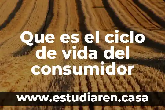 Que es un consumidor personal privado 4 Que es el ciclo de vida del consumidor