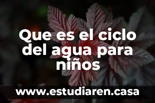 Que es el ciclo del agua para niños