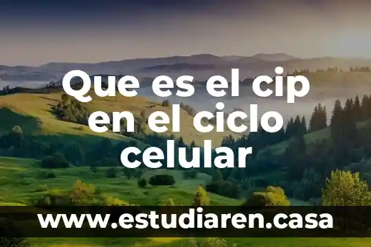 Que es la especializacion celular animal 5 Que es el cip en el ciclo celular