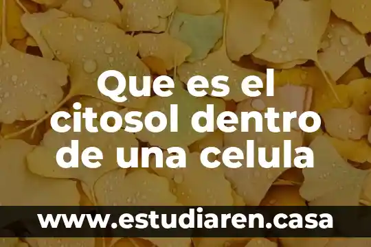 Qué es célula haploide 4 Que es el citosol dentro de una celula
