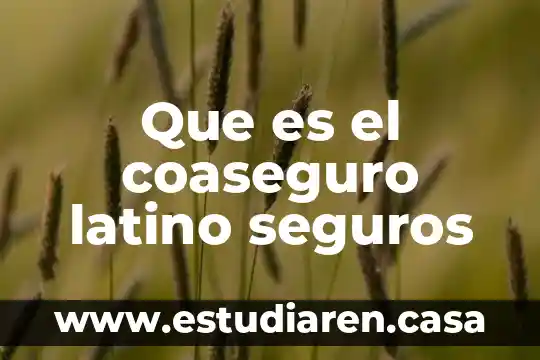 Que es el coaseguro latino seguros