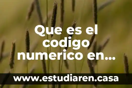 Que es el tendedero numerico 5 Que es el codigo numerico en un manual de organizacion