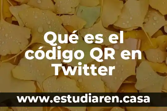 Qué es un código de acceso Fortnite 7 Qué es el código QR en Twitter