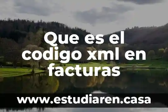 Para que es el formato XML 3 Que es el codigo xml en facturas