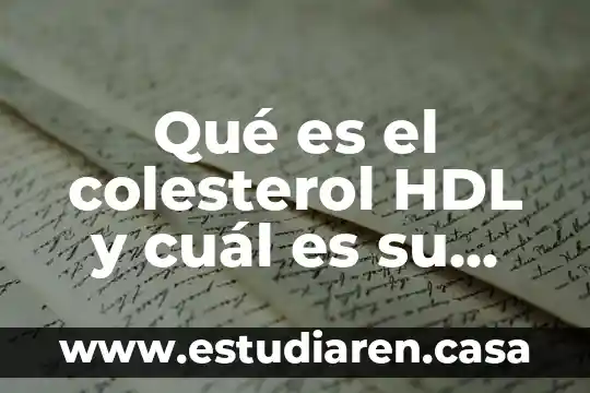Que es el lactato y su importancia clinica 5 Qué es el colesterol HDL y cuál es su importancia