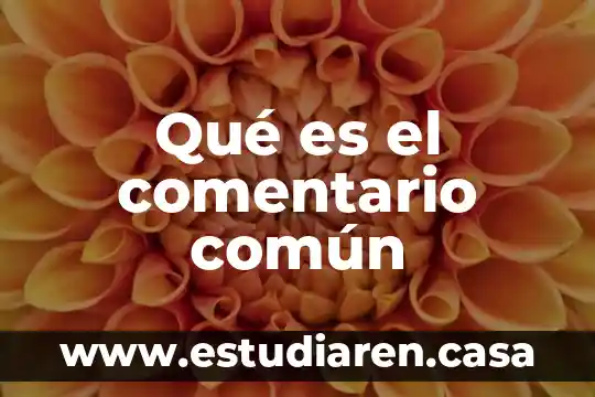 Qué es un recurso emociones 4 Qué es el comentario común