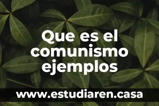 Que es el comunismo ejemplos