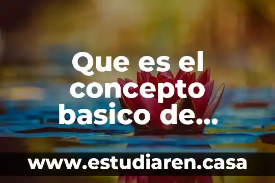 Que es el concepto basico de estadistica