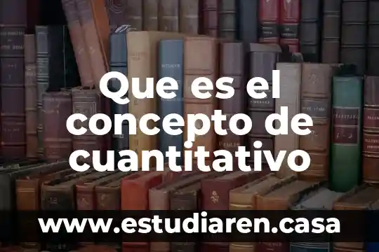 Que es concepto rector en mercadotecnia 5 Que es el concepto de cuantitativo