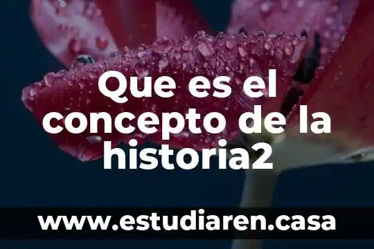 Que es el concepto de la historia2
