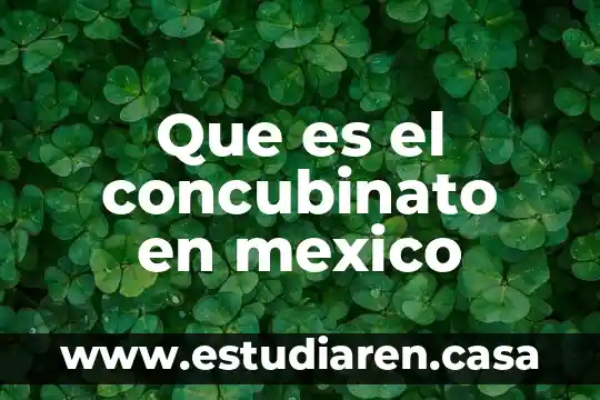 Qué es una catástrofe ambiental 6 Que es el concubinato en mexico