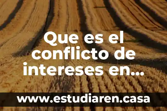 Que es el conflicto de intereses en materia administrativa