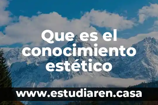 Que es ambiente estetico 5 Que es el conocimiento estético