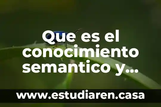 Que es el conocimiento semantico y sintactico