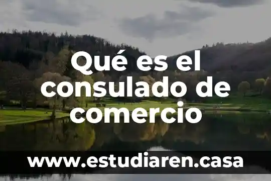 Que es ci en comercio exterior 6 Qué es el consulado de comercio