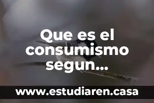 Que es el arte segun la unam 6 Que es el consumismo segun lipovetsky