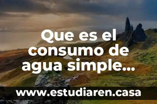 Que es el consumo de agua simple potable