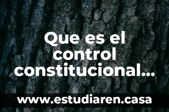 Que es el control constitucional en materia ambiental en mexico