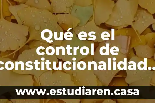 Qué es el control de constitucionalidad jurídicas UNAM