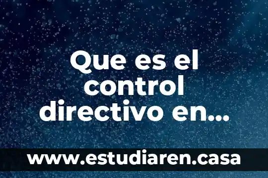 Que es el control directivo en una empresa
