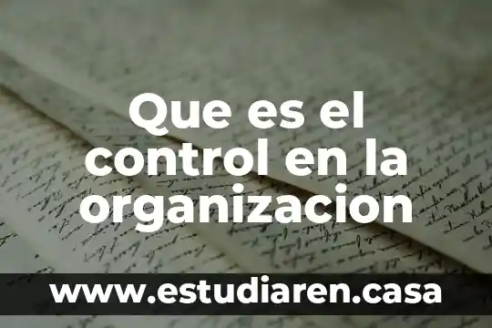 Que es el control en la organizacion