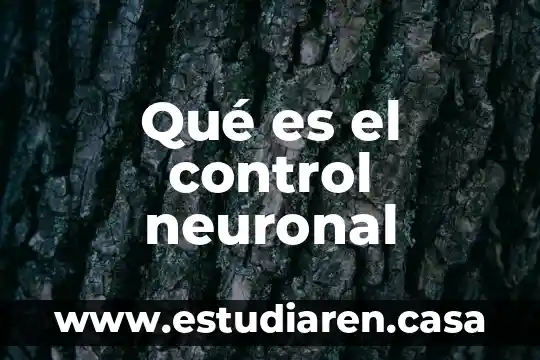 Temblor en el cuerpo que es 7 Qu茅 es el control neuronal