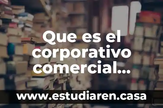 Que es el corporativo comercial vasco de quiroga