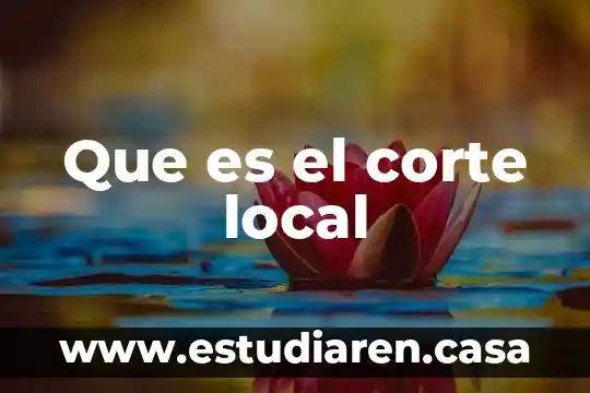 Que es el corte cabeza de cerdo 5 Que es el corte local