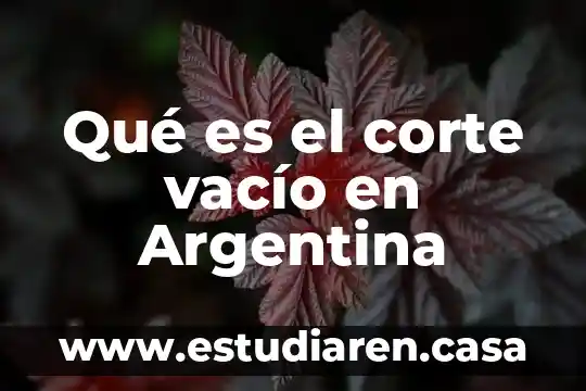 Que es el corte cabeza de cerdo 6 Qué es el corte vacío en Argentina