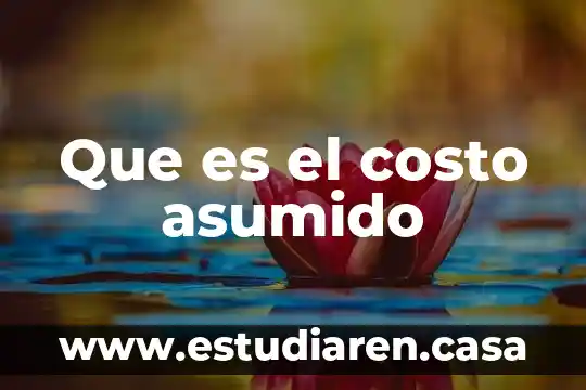 Que es costo isp 3 Que es el costo asumido