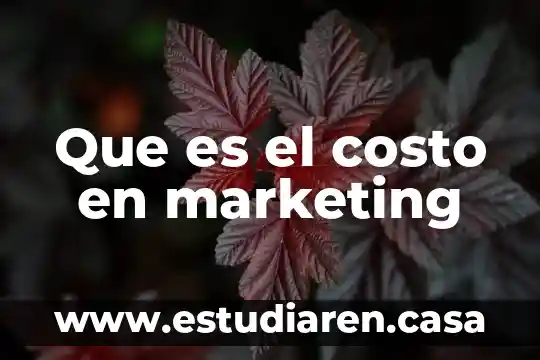 Que es el costo en marketing