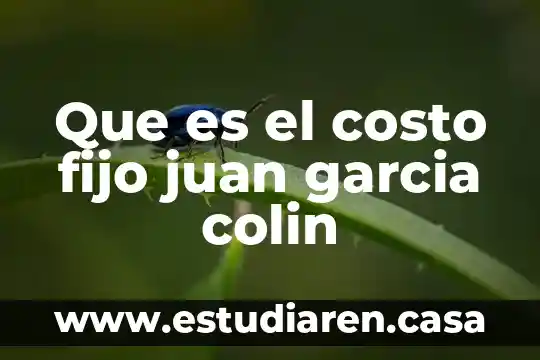 Que es el costo fijo juan garcia colin